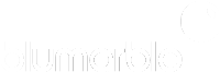 blumarble_Logo_200